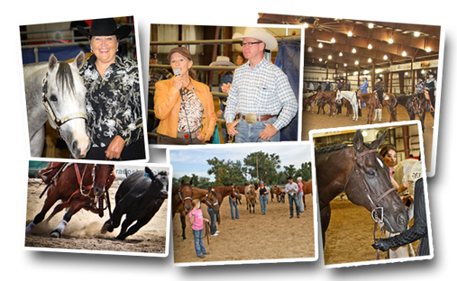 CENTRAL STATES FAIRGROUNDS RAPID CITY SOUTH DAKOTA SEPTEMBER 15-18, 2016.  Offering 2 full pointed AQHA shows; Championship Classes offer buckles and prizes through 10th.